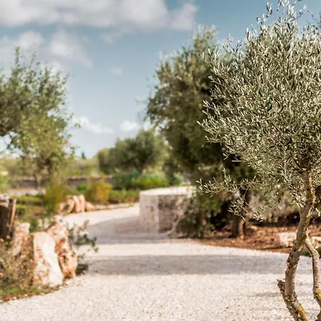 Cisterna Villa *